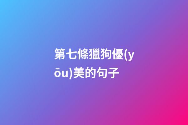 第七條獵狗優(yōu)美的句子