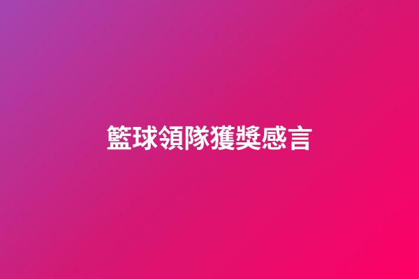 籃球領隊獲獎感言