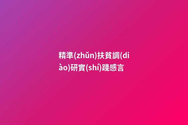 精準(zhǔn)扶貧調(diào)研實(shí)踐感言