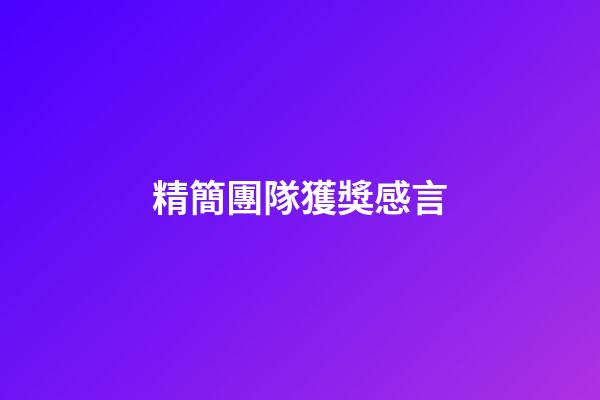 精簡團隊獲獎感言