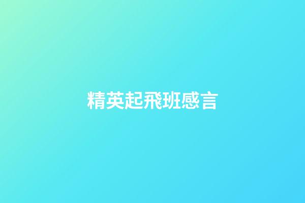 精英起飛班感言