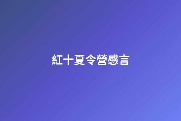 紅十夏令營感言
