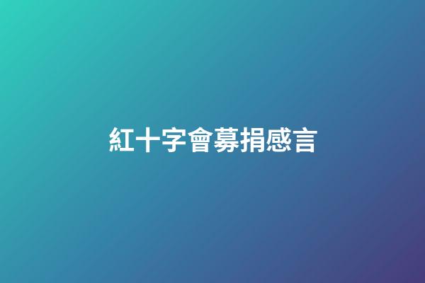 紅十字會募捐感言