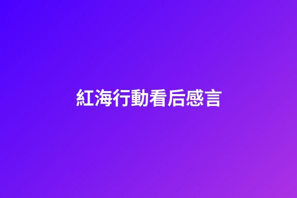 紅海行動看后感言