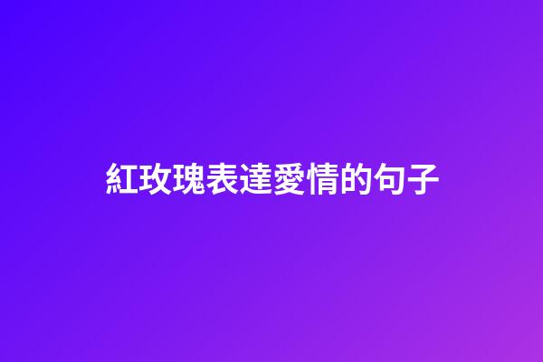 紅玫瑰表達愛情的句子