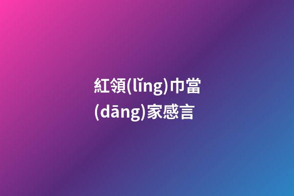紅領(lǐng)巾當(dāng)家感言