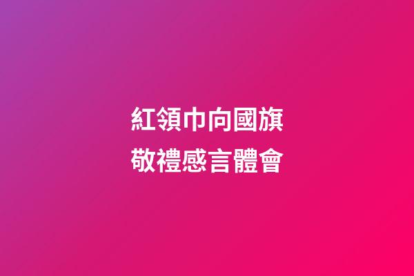 紅領巾向國旗敬禮感言體會