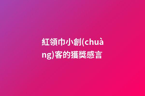 紅領巾小創(chuàng)客的獲獎感言