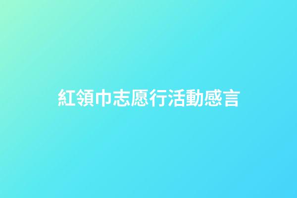 紅領巾志愿行活動感言