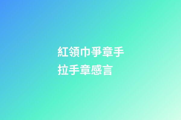 紅領巾爭章手拉手章感言