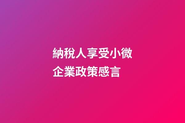 納稅人享受小微企業政策感言