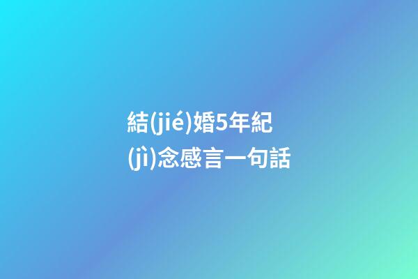 結(jié)婚5年紀(jì)念感言一句話