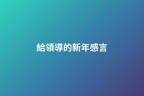 給領導的新年感言