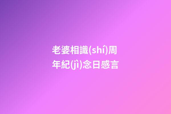 老婆相識(shí)周年紀(jì)念日感言