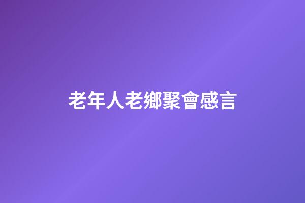 老年人老鄉聚會感言