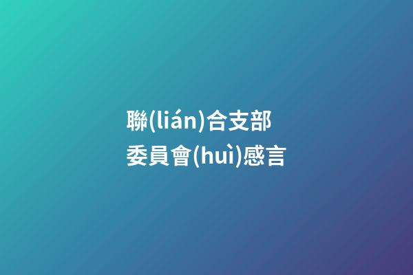 聯(lián)合支部委員會(huì)感言