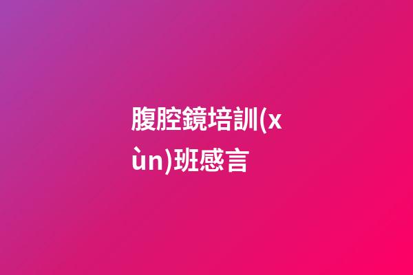 腹腔鏡培訓(xùn)班感言