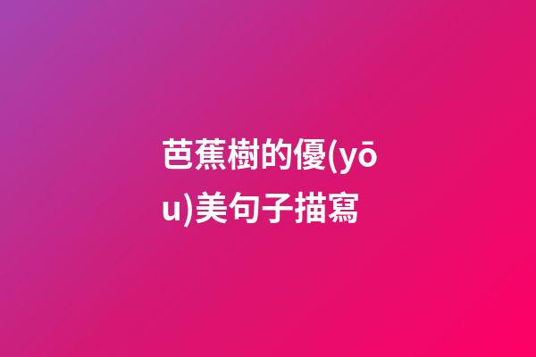 芭蕉樹的優(yōu)美句子描寫