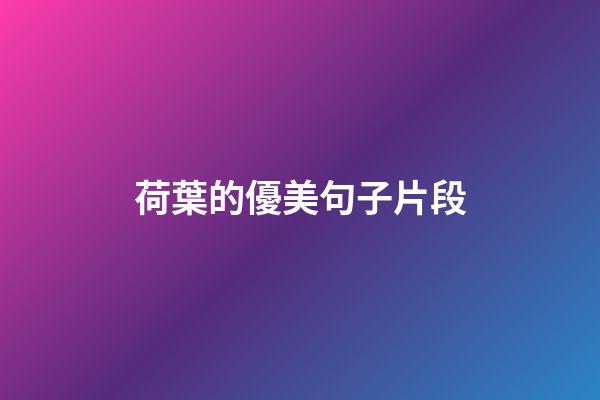 荷葉的優美句子片段