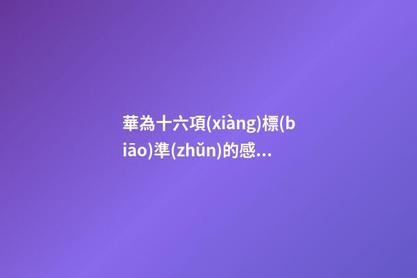 華為十六項(xiàng)標(biāo)準(zhǔn)的感言
