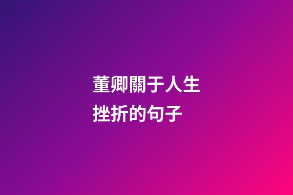 董卿關于人生挫折的句子