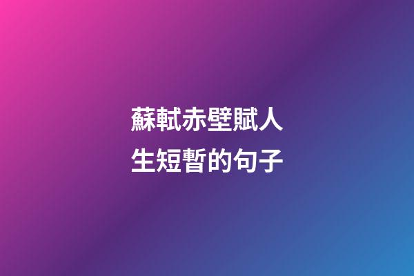 蘇軾赤壁賦人生短暫的句子