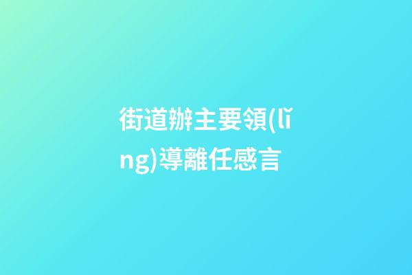 街道辦主要領(lǐng)導離任感言
