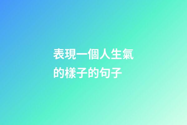 表現一個人生氣的樣子的句子