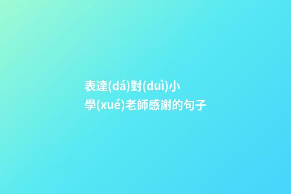 表達(dá)對(duì)小學(xué)老師感謝的句子