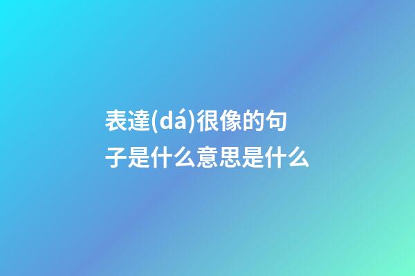 表達(dá)很像的句子是什么意思是什么