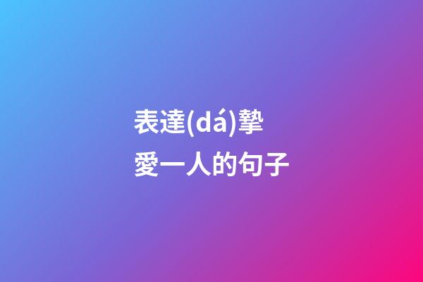 表達(dá)摯愛一人的句子