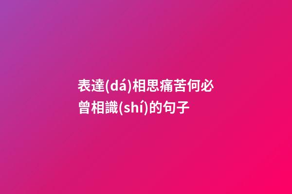 表達(dá)相思痛苦何必曾相識(shí)的句子