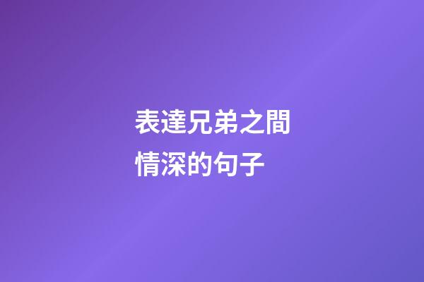 表達兄弟之間情深的句子