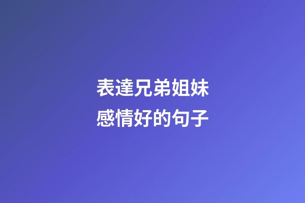 表達兄弟姐妹感情好的句子