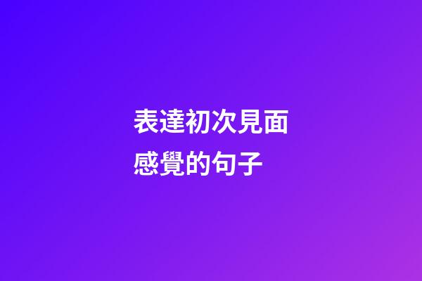 表達初次見面感覺的句子