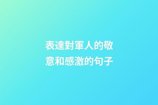 表達對軍人的敬意和感激的句子