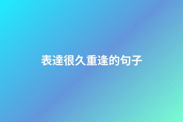 表達很久重逢的句子