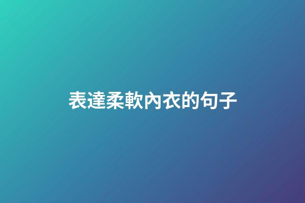 表達柔軟內衣的句子