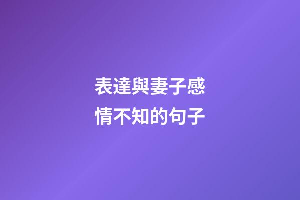 表達與妻子感情不知的句子