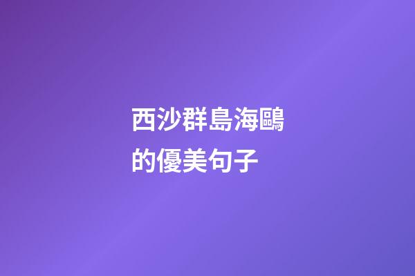 西沙群島海鷗的優美句子