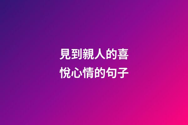 見到親人的喜悅心情的句子