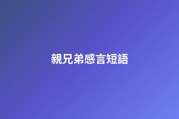 親兄弟感言短語