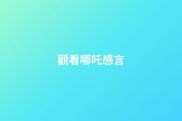 觀看哪吒感言