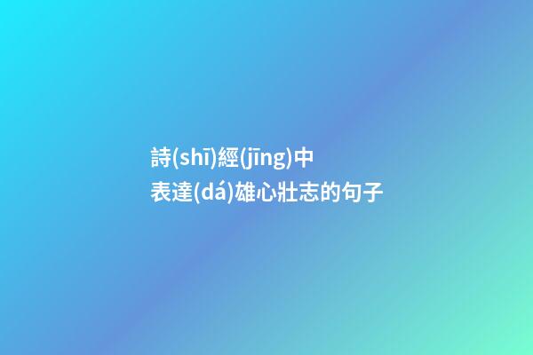 詩(shī)經(jīng)中表達(dá)雄心壯志的句子