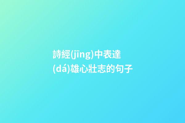 詩經(jīng)中表達(dá)雄心壯志的句子