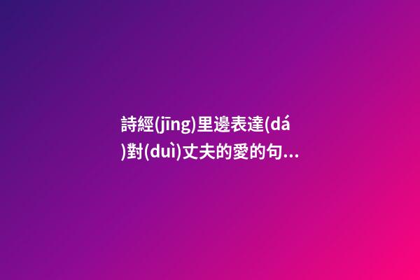 詩經(jīng)里邊表達(dá)對(duì)丈夫的愛的句子