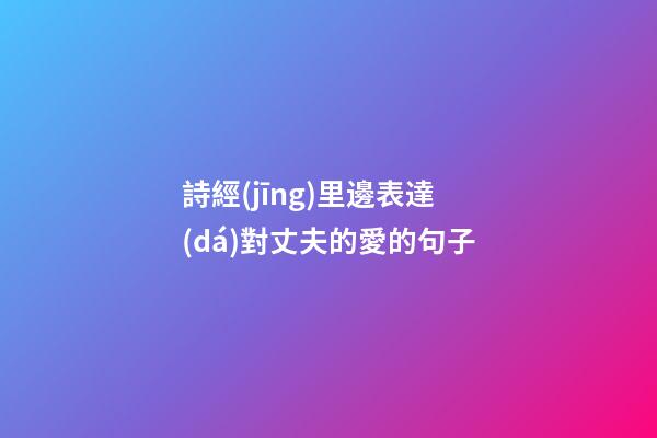 詩經(jīng)里邊表達(dá)對丈夫的愛的句子