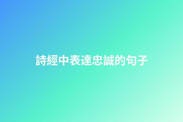 詩經中表達忠誠的句子