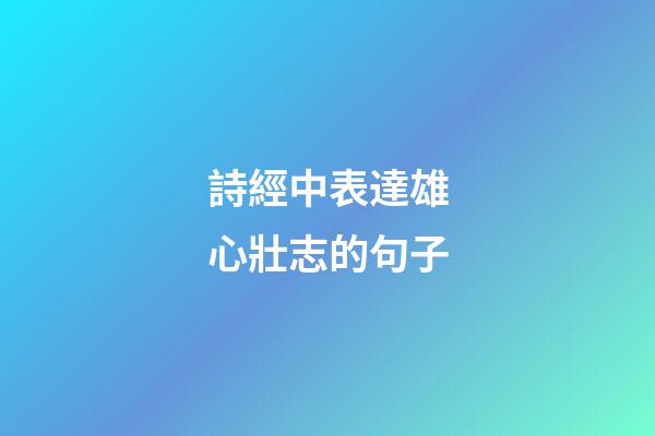 詩經中表達雄心壯志的句子