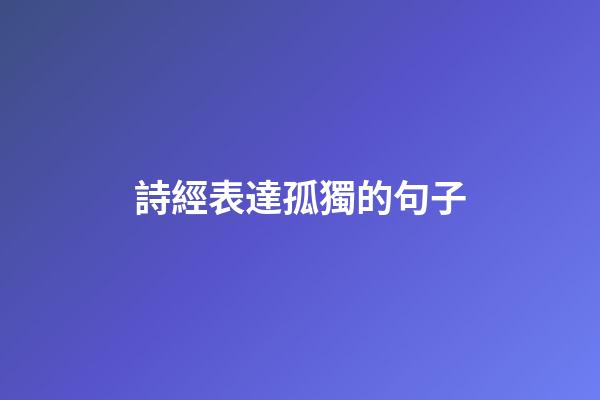 詩經表達孤獨的句子